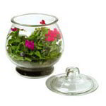 Anchor Hocking Residential Fish Bowl