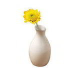 Bud Vases