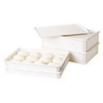 Cambro - Pizza Dough Boxes