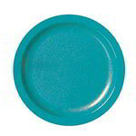 Carlisle Polycarbonate Dinnerware