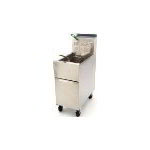 Commercial Fryers