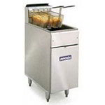 Commercial Gas Fryer