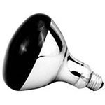 Heat Lamp Bulb & Accessories