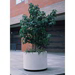 Indoor / Outdoor Planters