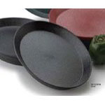 Plastic Trays
