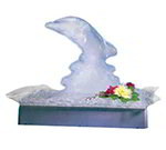 Carlisle SL6011L00 Large Light Box, Fuse Protected For Illuminated Trays, 115 V