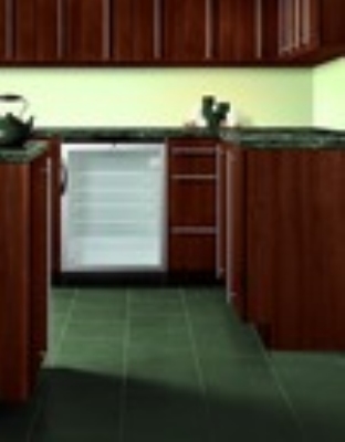 Summit Refrigeration SCR600BLBI Built In Beverage Merchandiser w/ Lock, Black, 5.5-cu ft